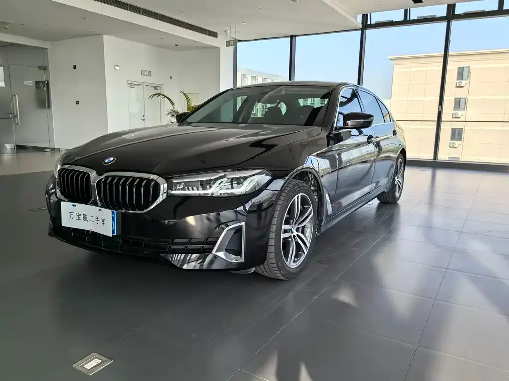 BMW 5 Series 2021 из CN, фото 1
