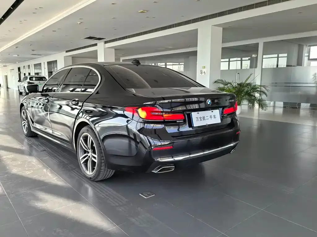 BMW 5 Series 2021 из CN, фото 10