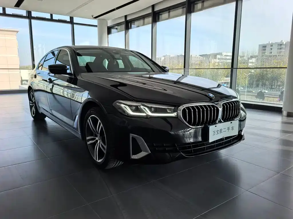 BMW 5 Series 2021 из CN, фото 2