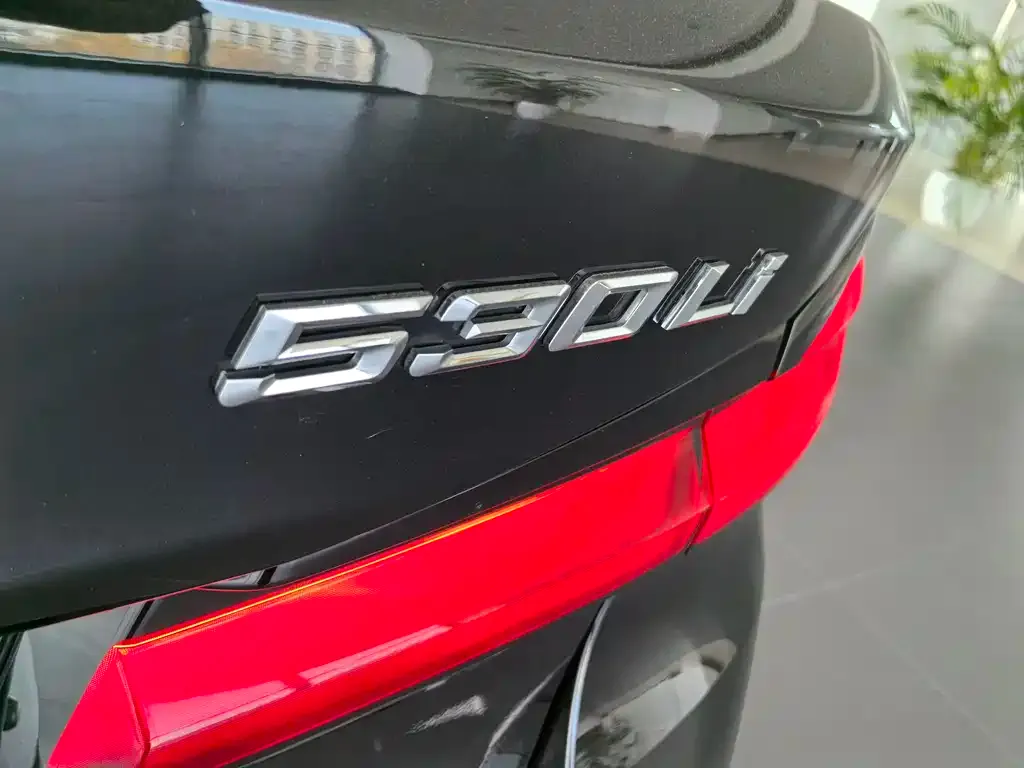 BMW 5 Series 2021 из CN, фото 4