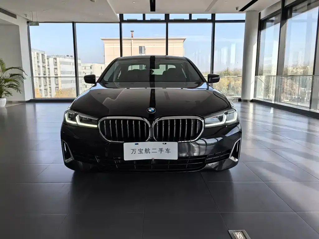 BMW 5 Series 2021 из CN, фото 7