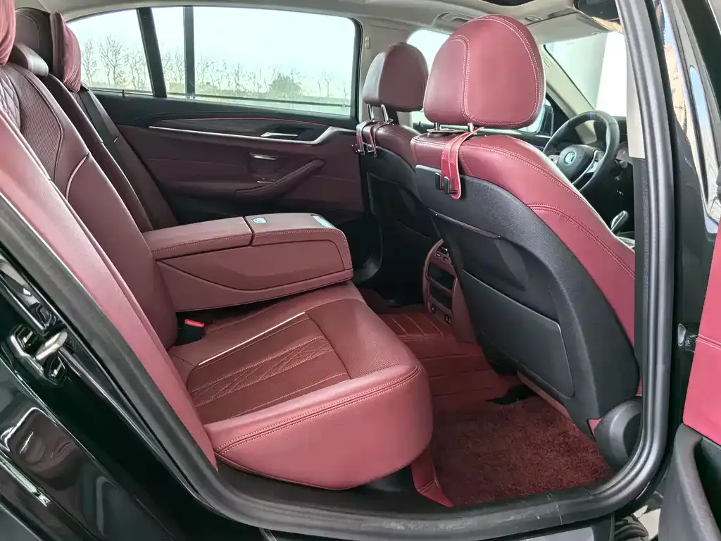 BMW 5 Series 2021 из CN, фото 8