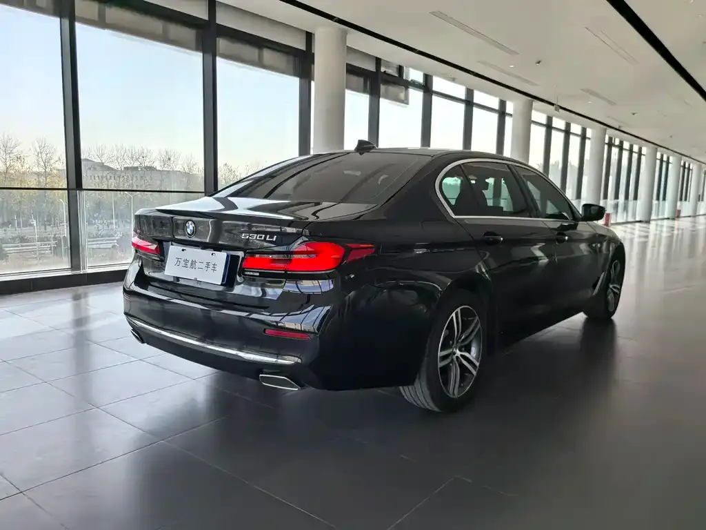BMW 5 Series 2021 из CN, фото 9