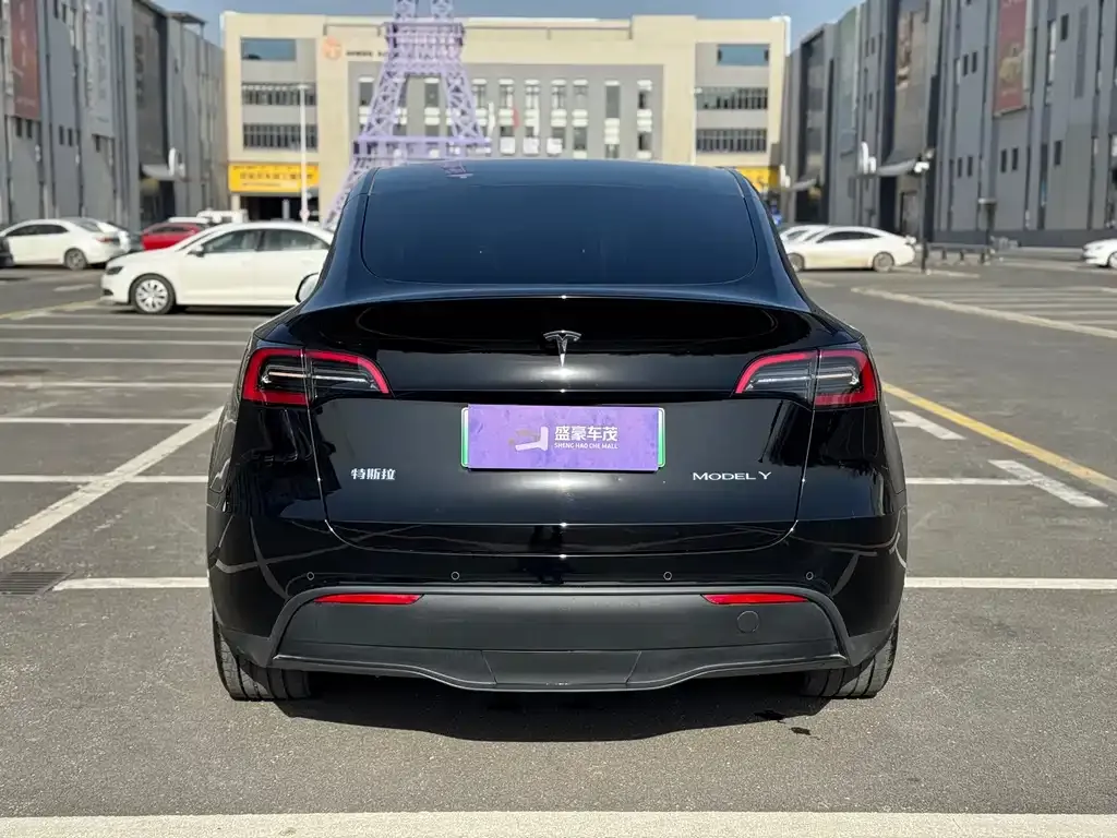 Tesla Model Y 2024 из CN, фото 8