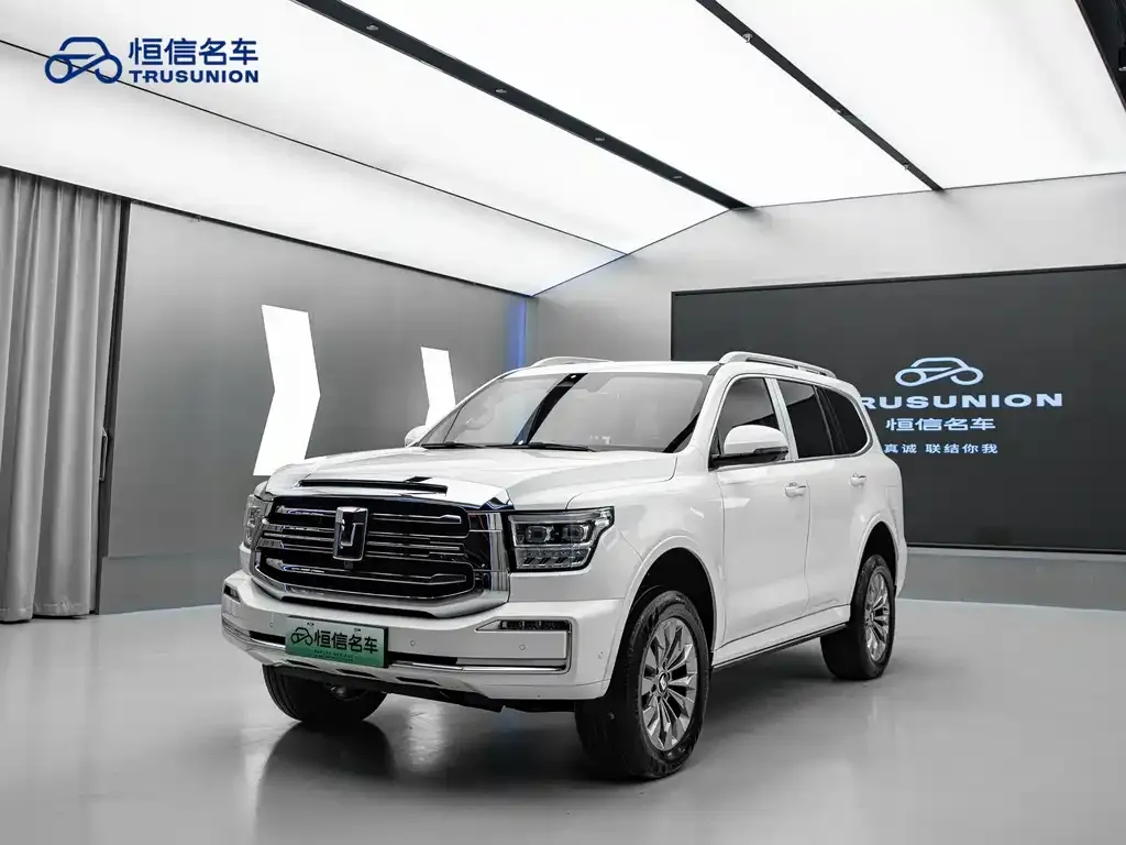 Tank 500 New Energy 2023 из CN, фото 1