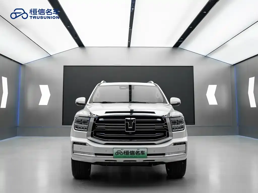 Tank 500 New Energy 2023 из CN, фото 2