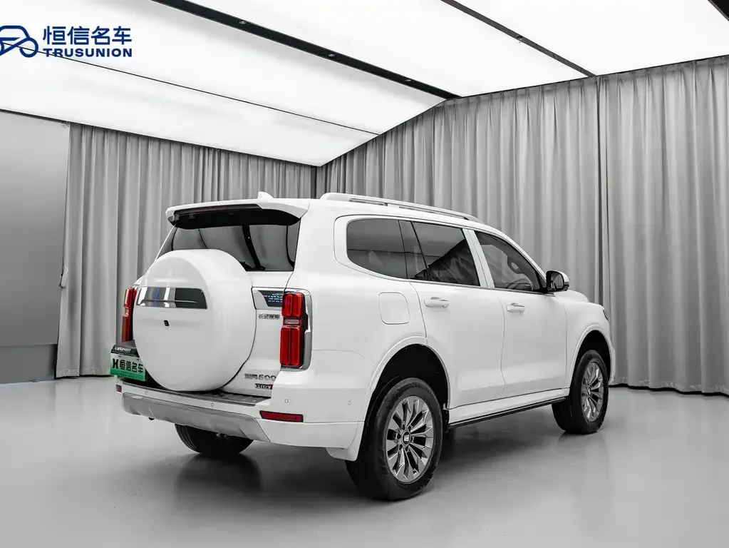Tank 500 New Energy 2023 из CN, фото 4