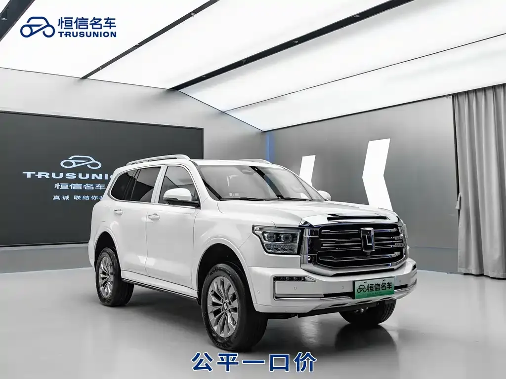 Tank 500 New Energy 2023 из CN, фото 5