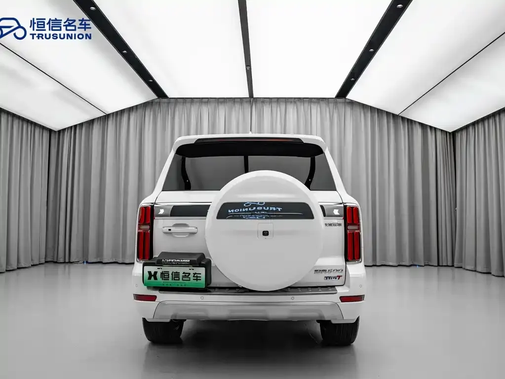 Tank 500 New Energy 2023 из CN, фото 6