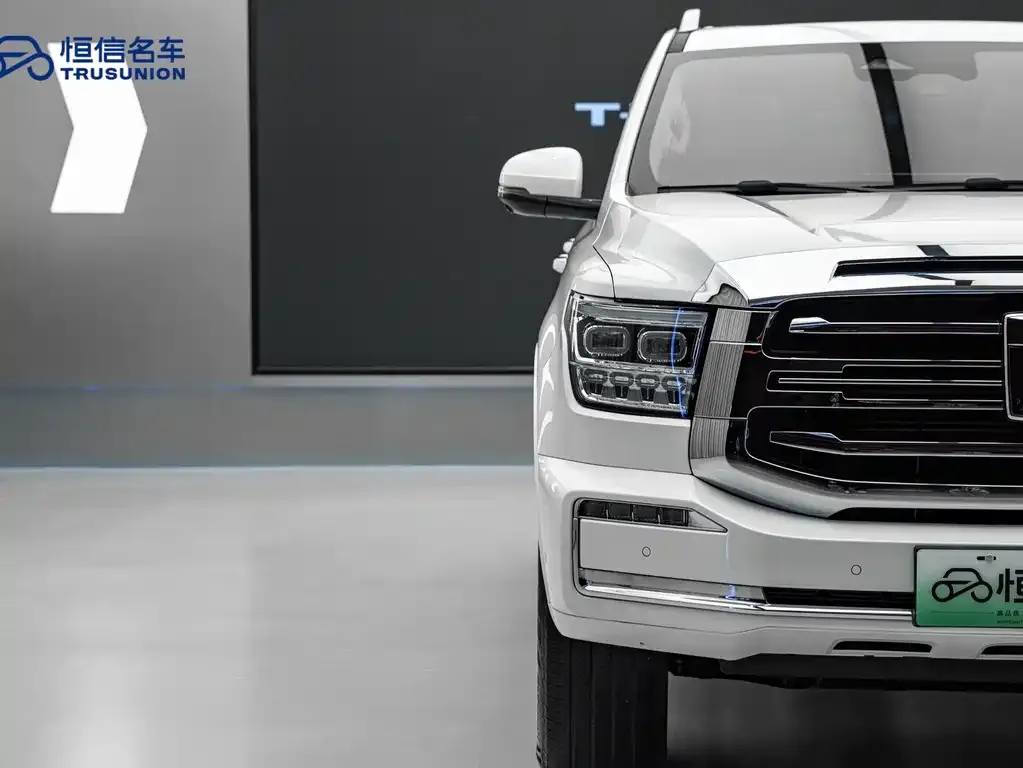 Tank 500 New Energy 2023 из CN, фото 7
