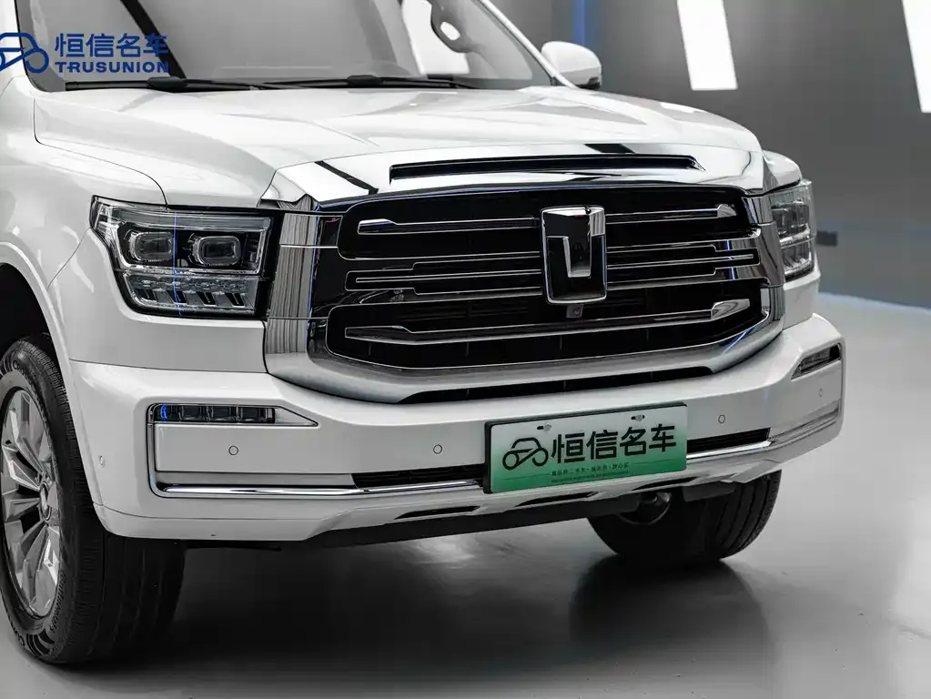 Tank 500 New Energy 2023 из CN, фото 9