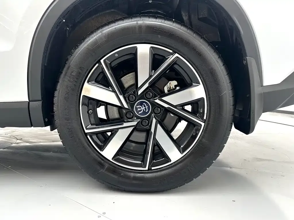 BYD Pro New Energy — фото 10