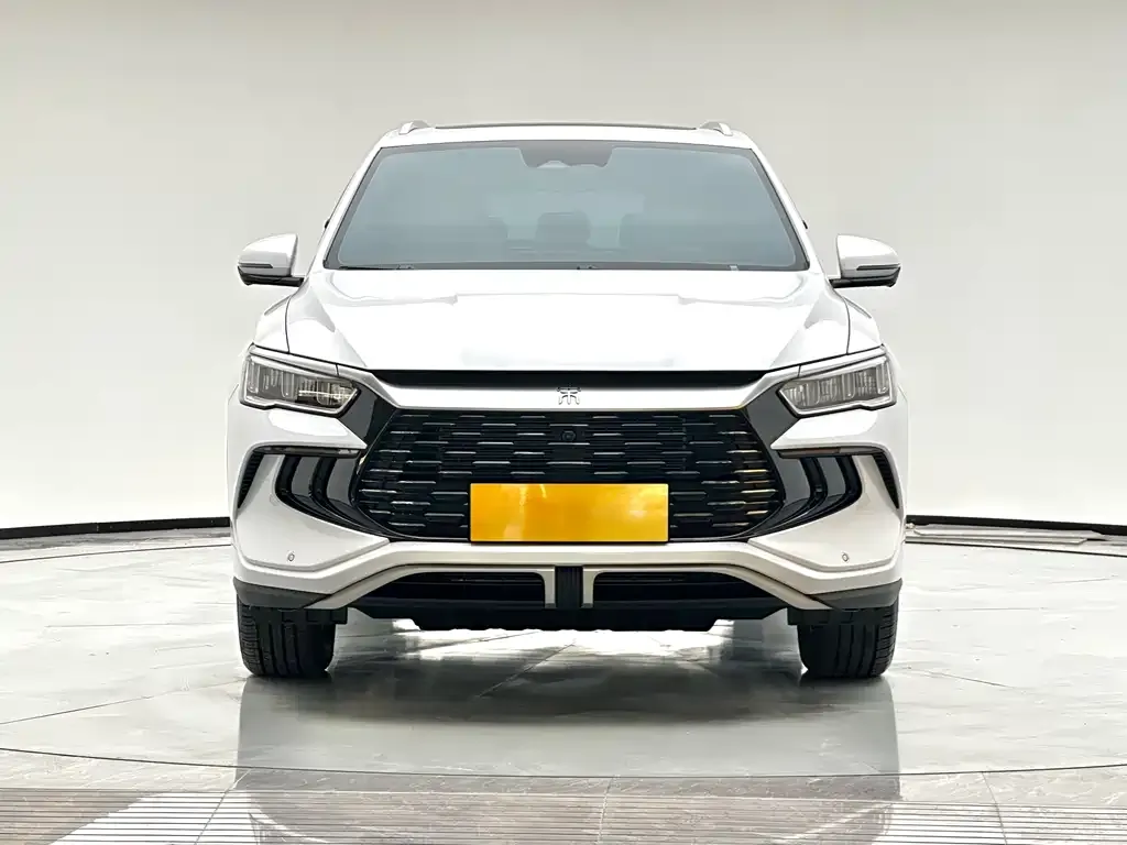 BYD Pro New Energy — фото 2