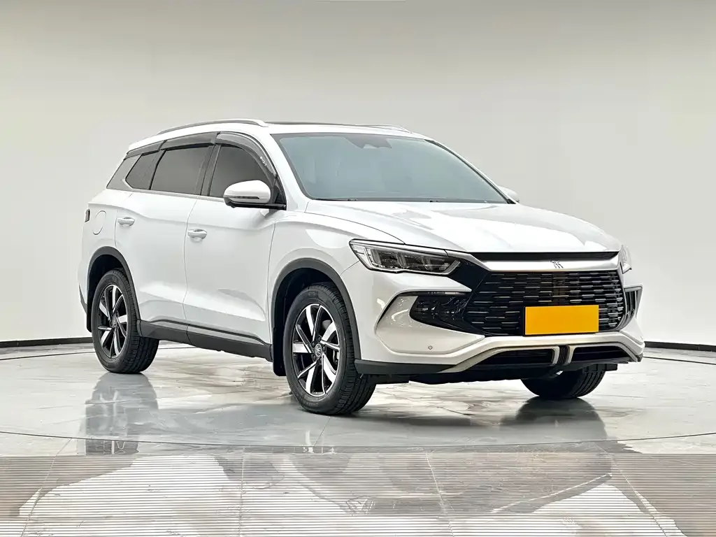 BYD Pro New Energy — фото 3