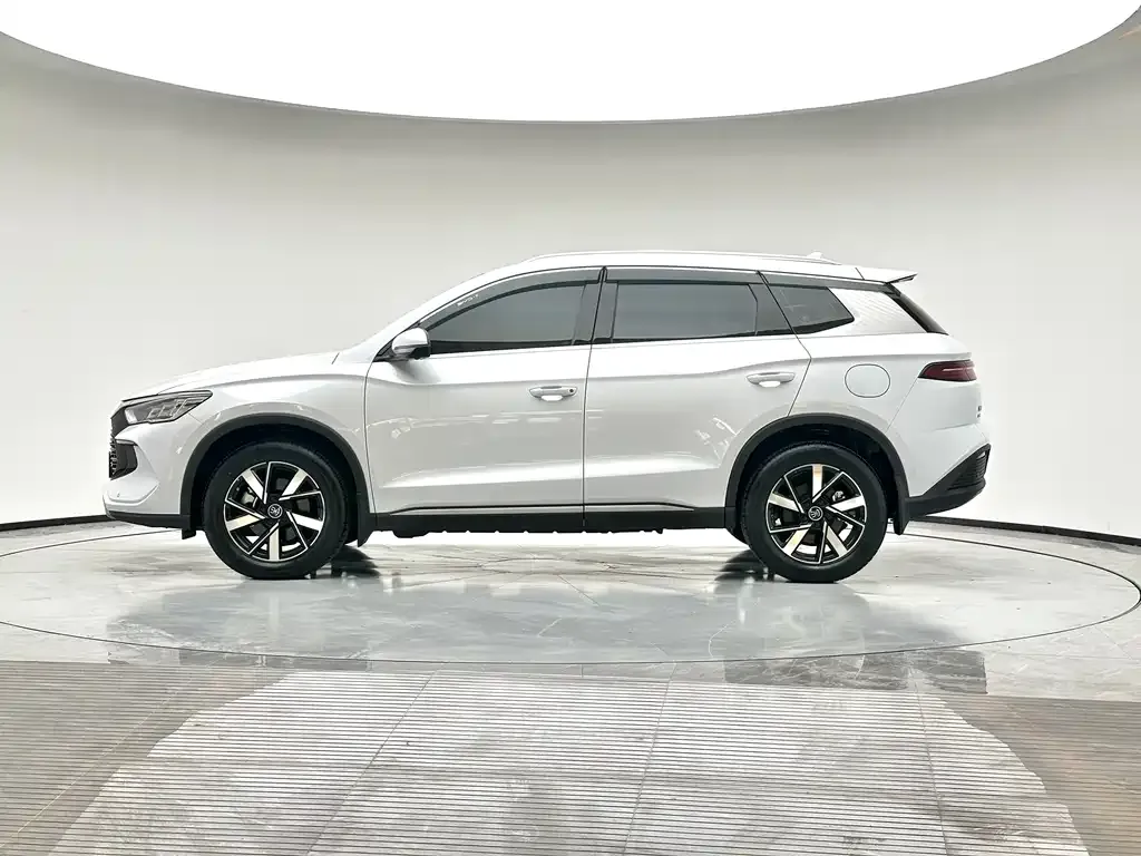 BYD Pro New Energy — фото 5