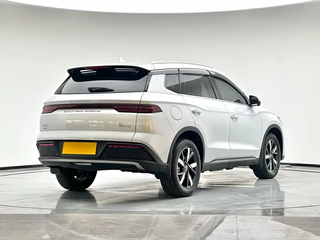 BYD Pro New Energy — фото 7