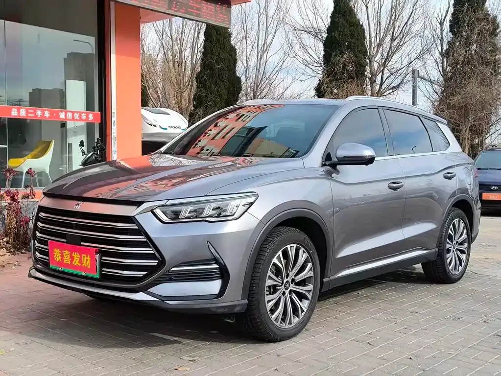 BYD Pro New Energy 2023 из CN, фото 1