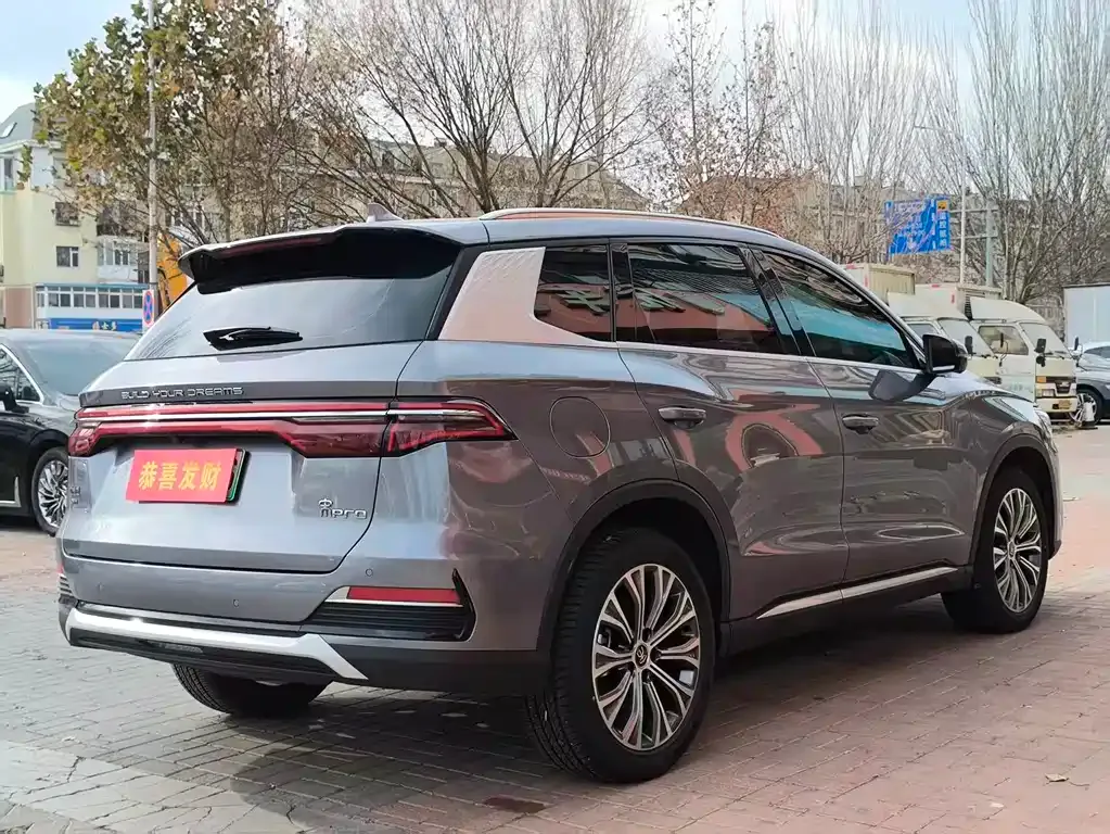 BYD Pro New Energy 2023 из CN, фото 10