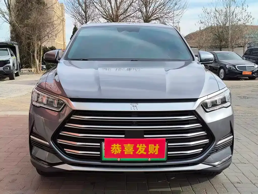BYD Pro New Energy 2023 из CN, фото 2