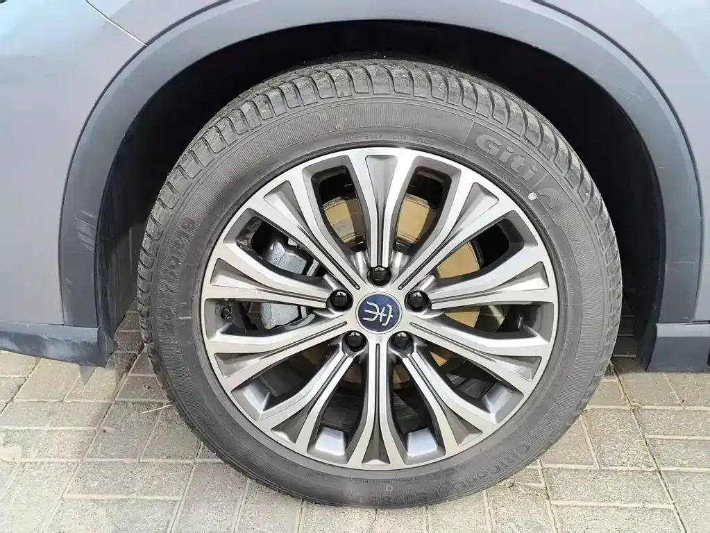 BYD Pro New Energy 2023 из CN, фото 3