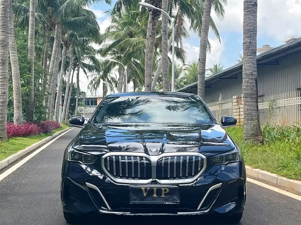 BMW 5 Series 2025 из CN, фото 2