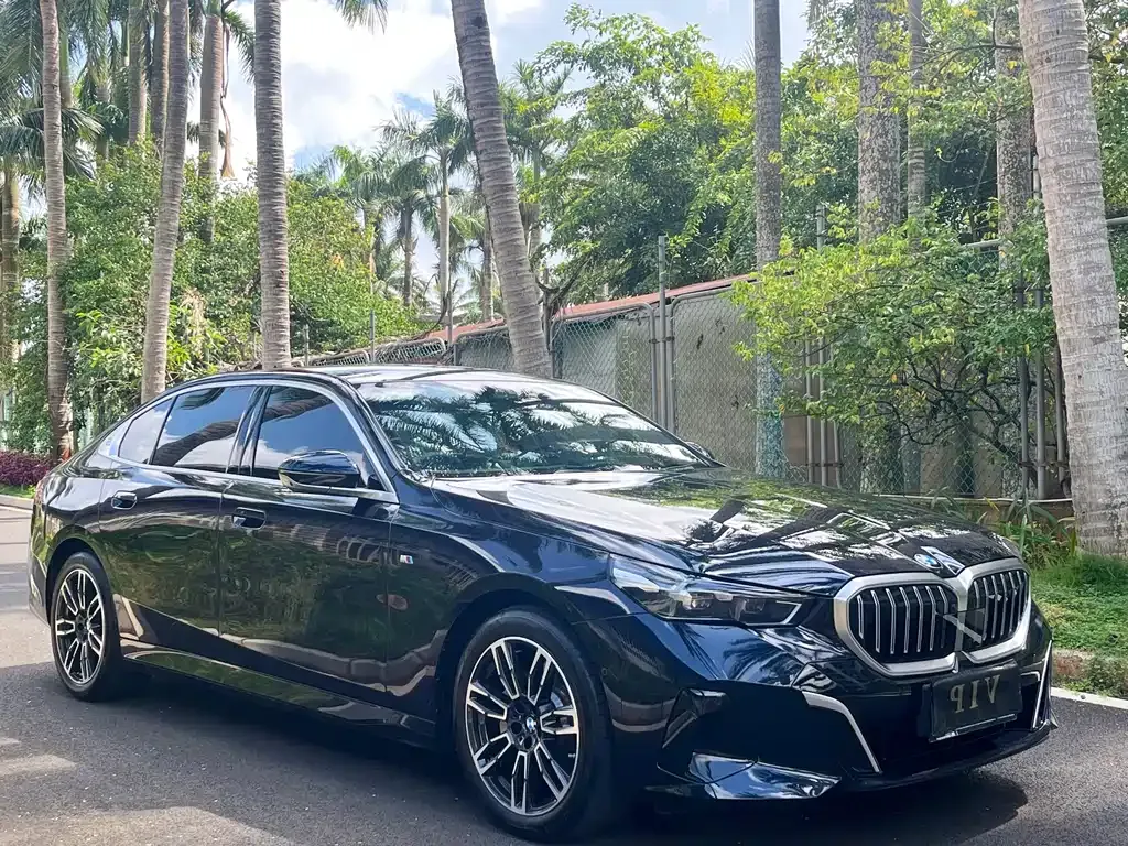 BMW 5 Series 2025 из CN, фото 3