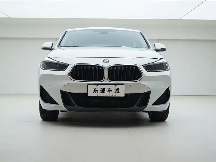 BMW X2 2022 из CN, фото 2