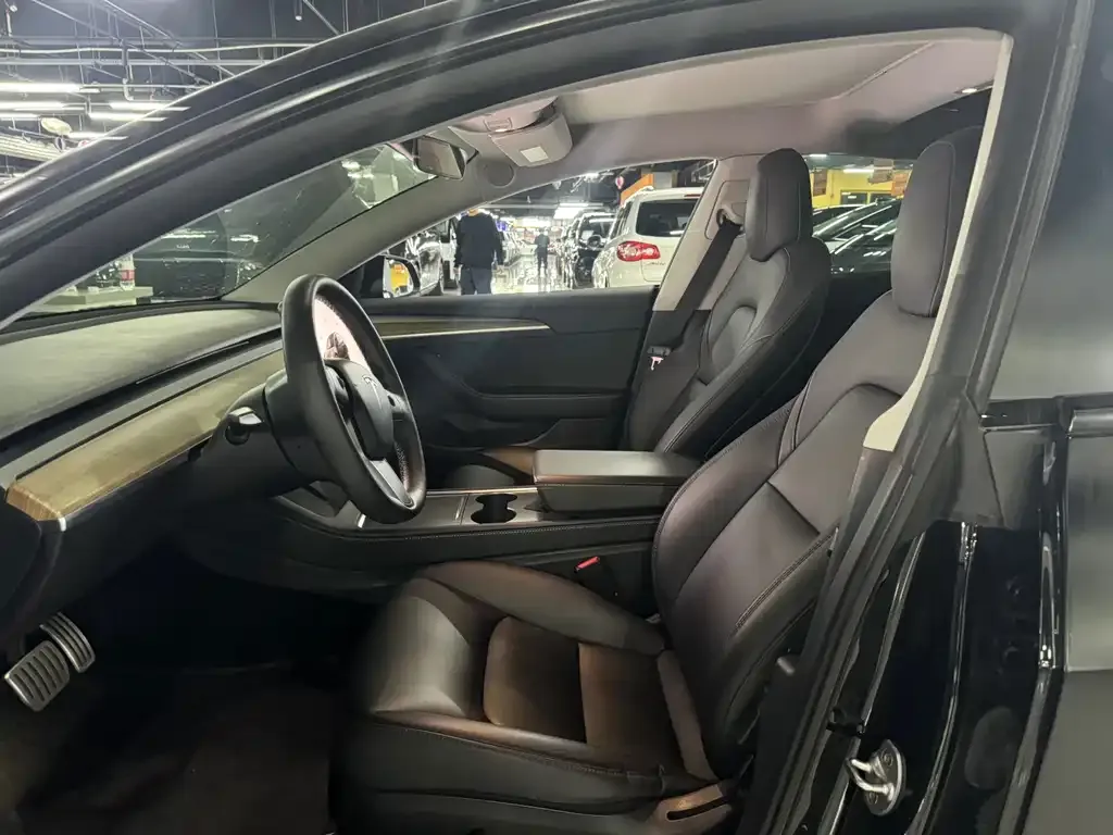 Tesla Model 3 2021 из CN, фото 4