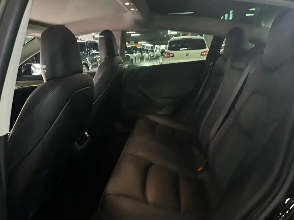 Tesla Model 3 2021 из CN, фото 5