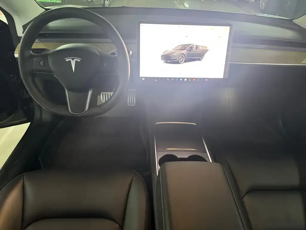 Tesla Model 3 2021 из CN, фото 6