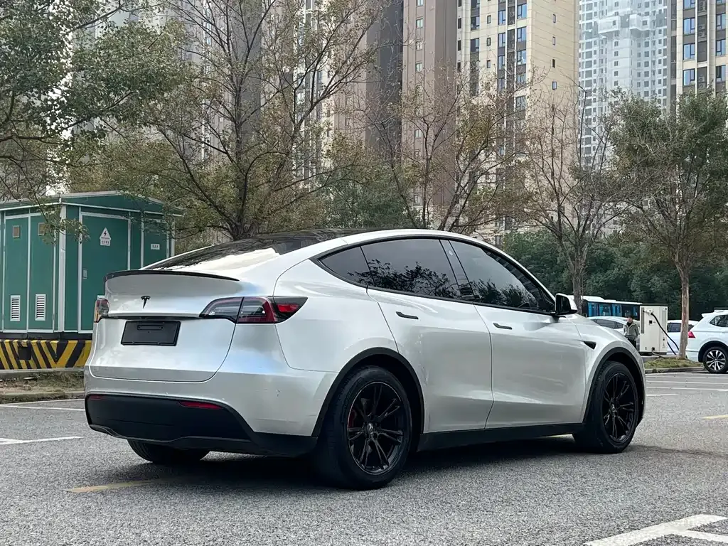 [object Object] Model Y 2021 из CN, фото 4