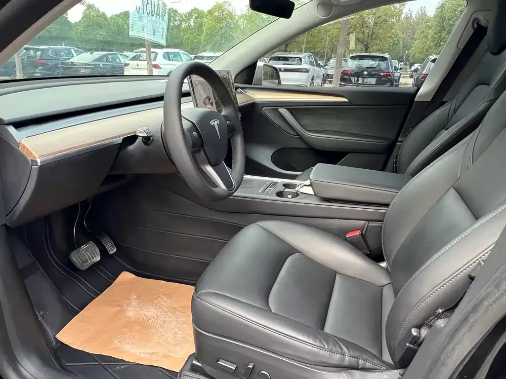 [object Object] Model Y 2021 из CN, фото 8