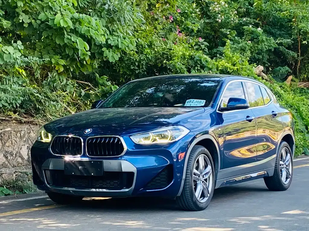 BMW X2 2021 из CN, фото 1