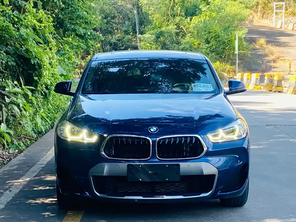 BMW X2 2021 из CN, фото 2