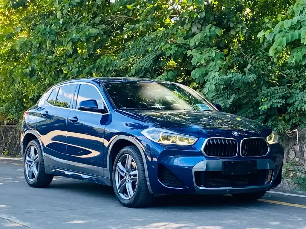 BMW X2 2021 из CN, фото 3