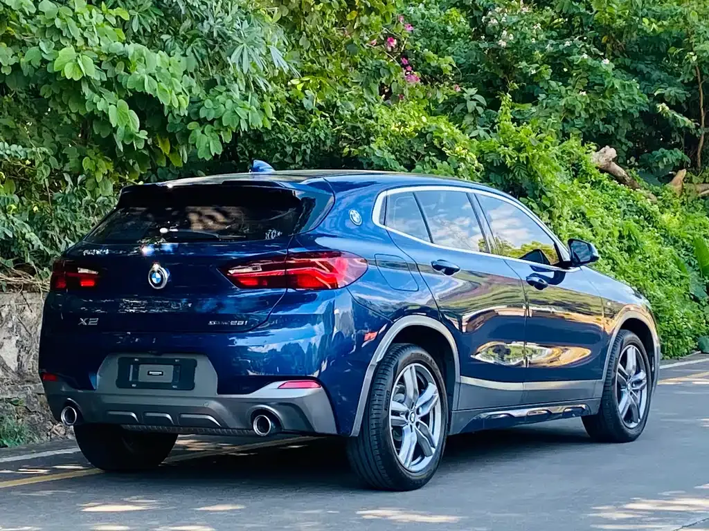BMW X2 2021 из CN, фото 4