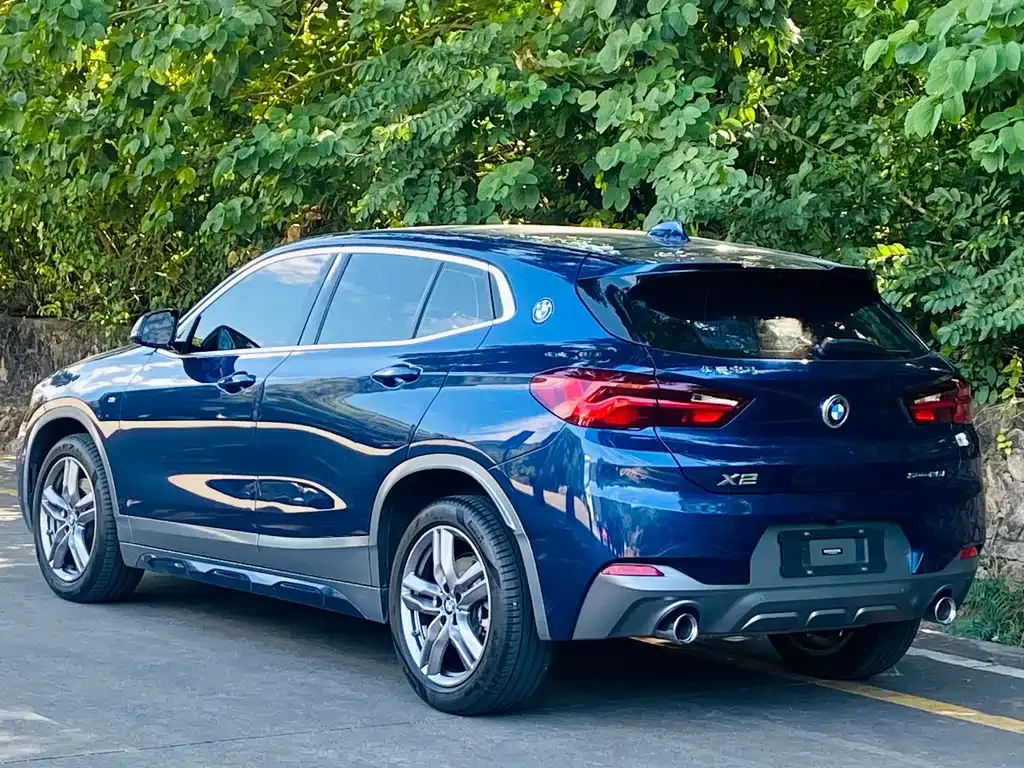 BMW X2 2021 из CN, фото 5