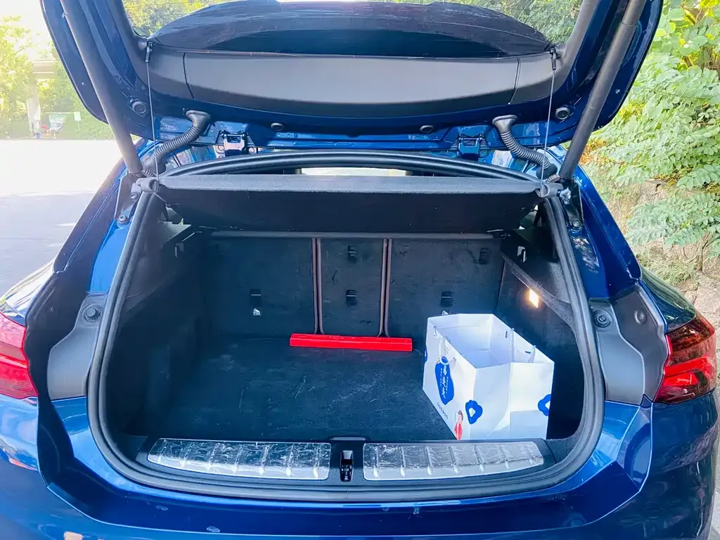 BMW X2 2021 из CN, фото 7