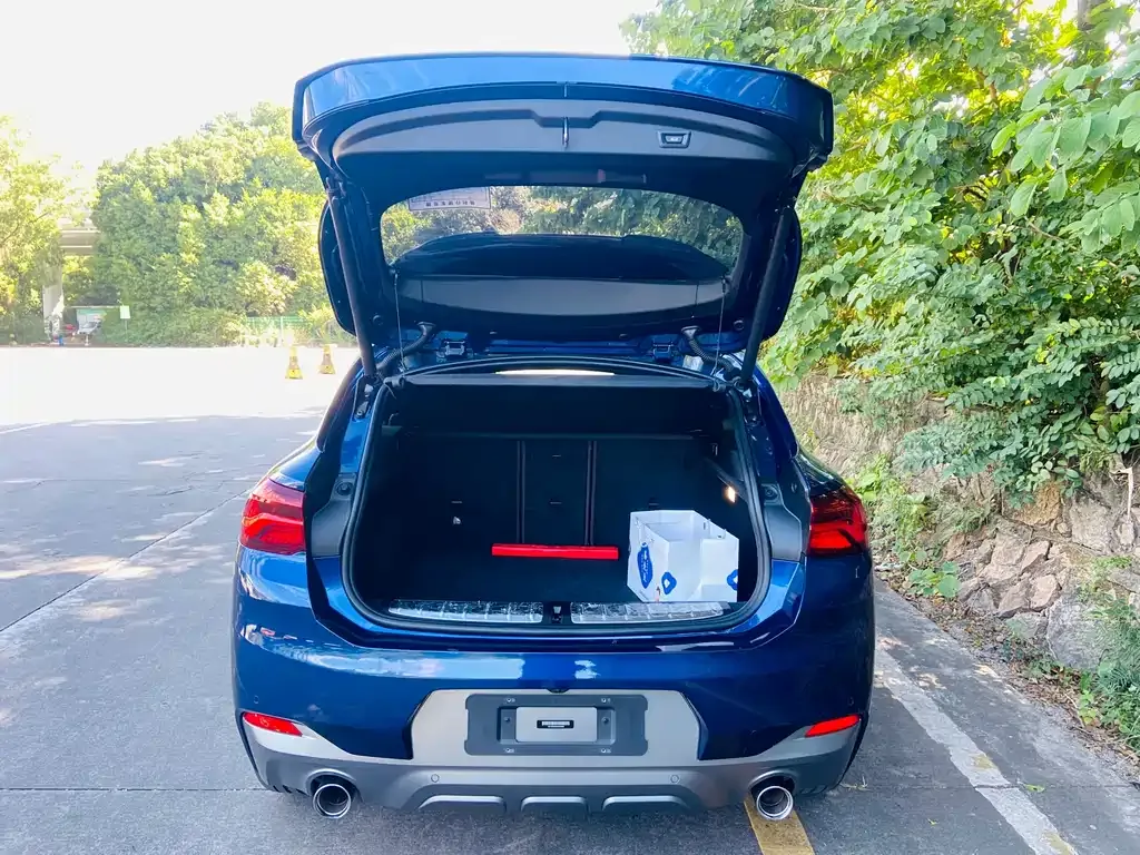 BMW X2 2021 из CN, фото 8