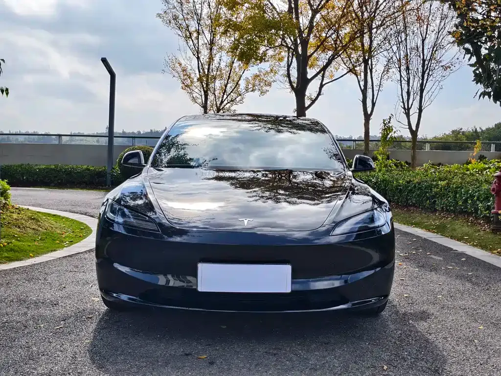 Tesla Model 3 — фото 2