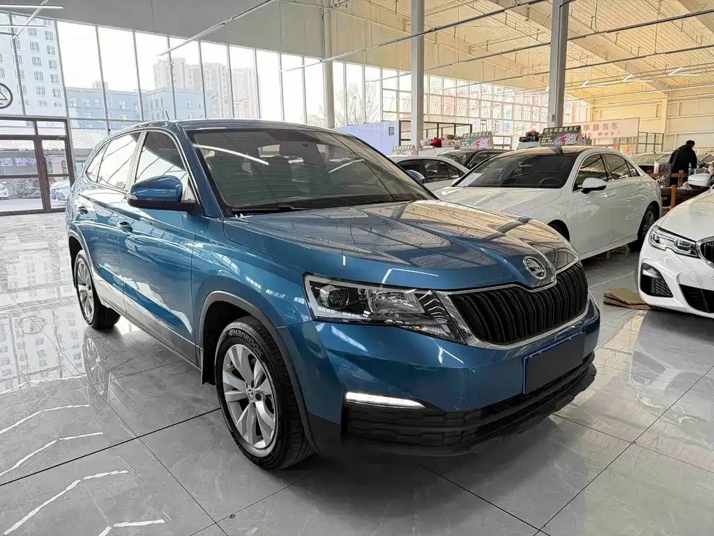 Skoda Kamiq 2021 из CN, фото 3
