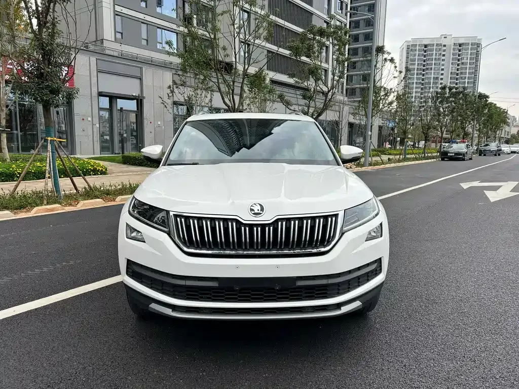 Skoda Kodiaq 2021 из CN, фото 2