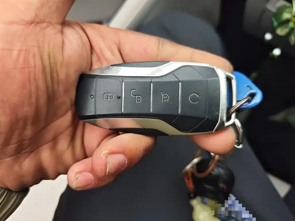BYD PLUS New Energy 2023 из CN, фото 10