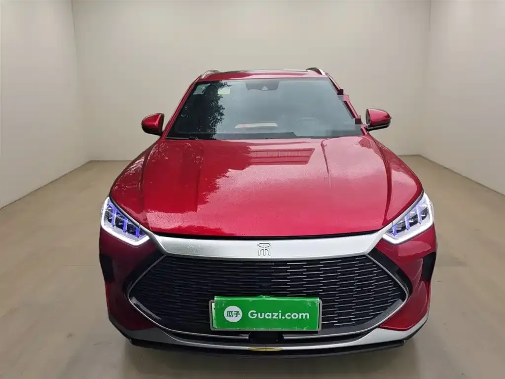 BYD PLUS New Energy 2023 из CN, фото 3