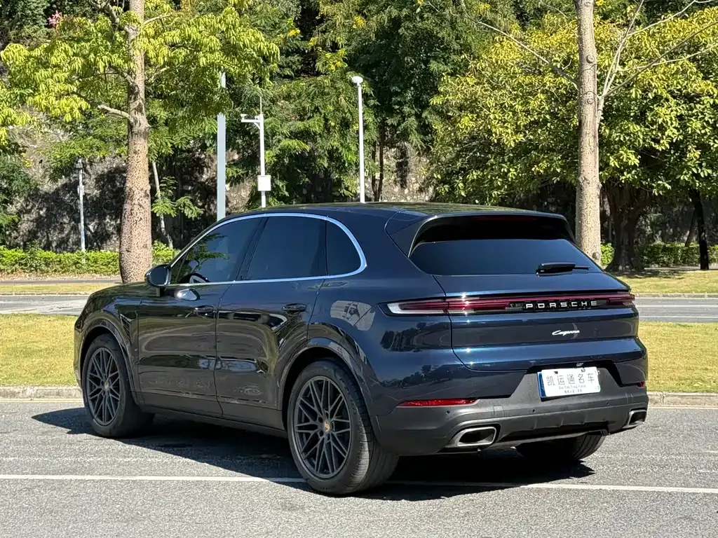 Porsche Cayenne — фото 10