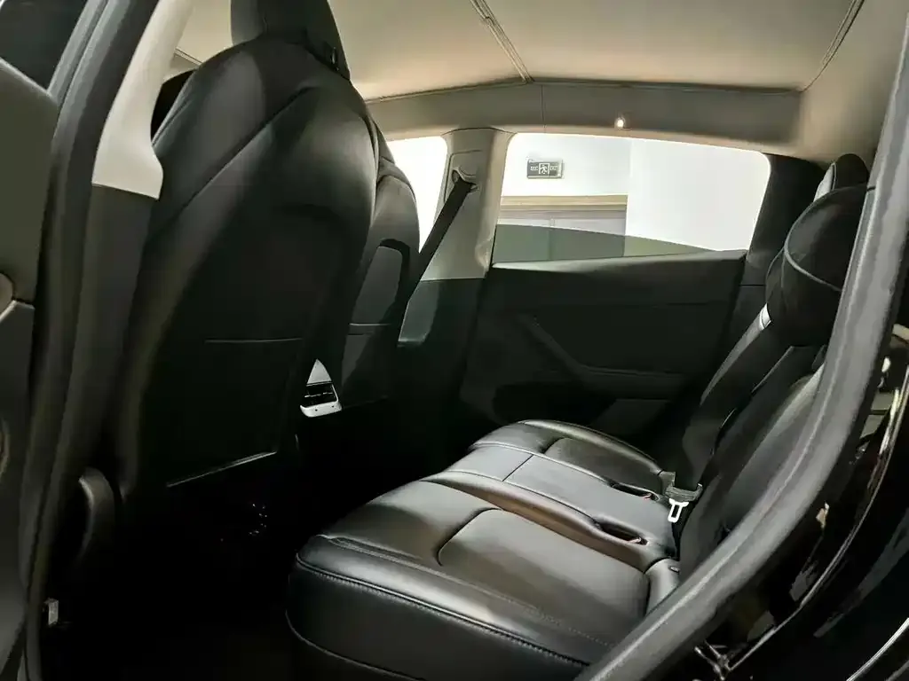 Tesla Model 3 2022 из CN, фото 5