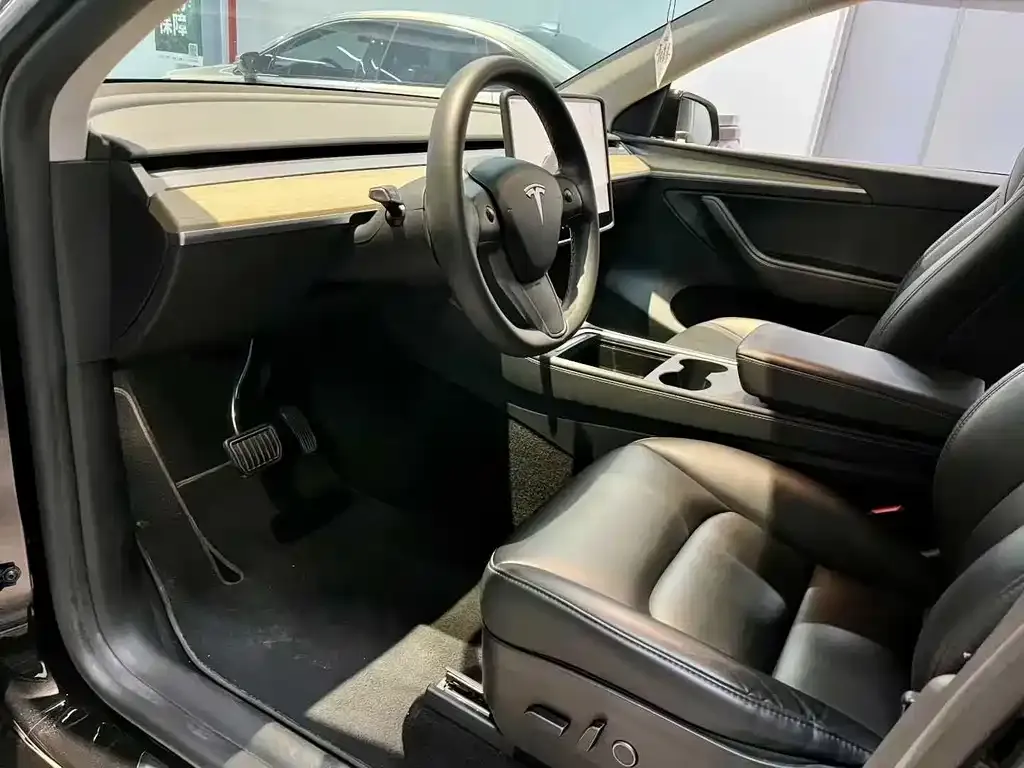 Tesla Model 3 2022 из CN, фото 6
