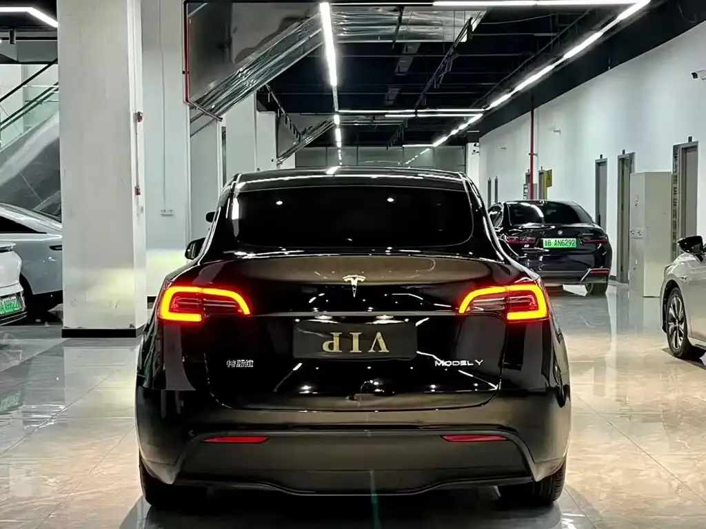 Tesla Model 3 2022 из CN, фото 8