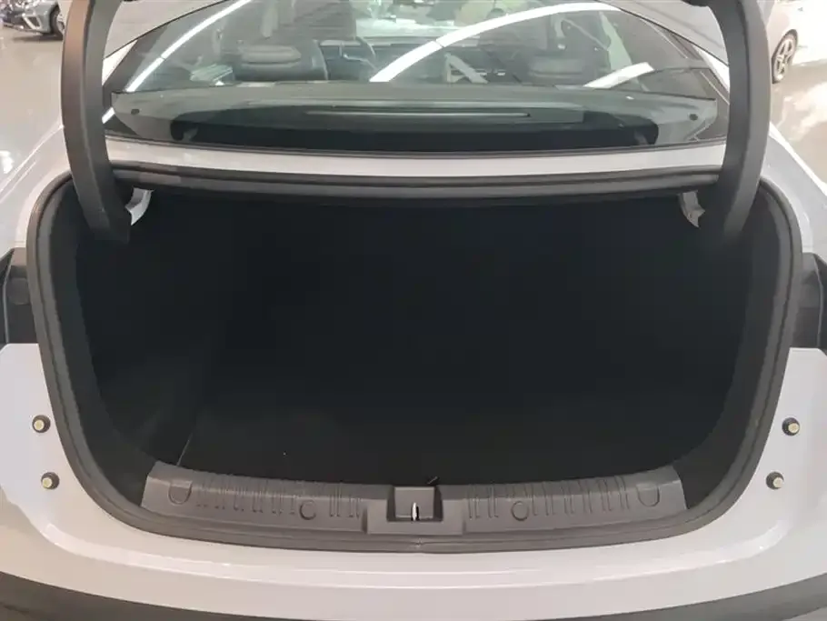 BYD Qin L 2024 из CN, фото 4