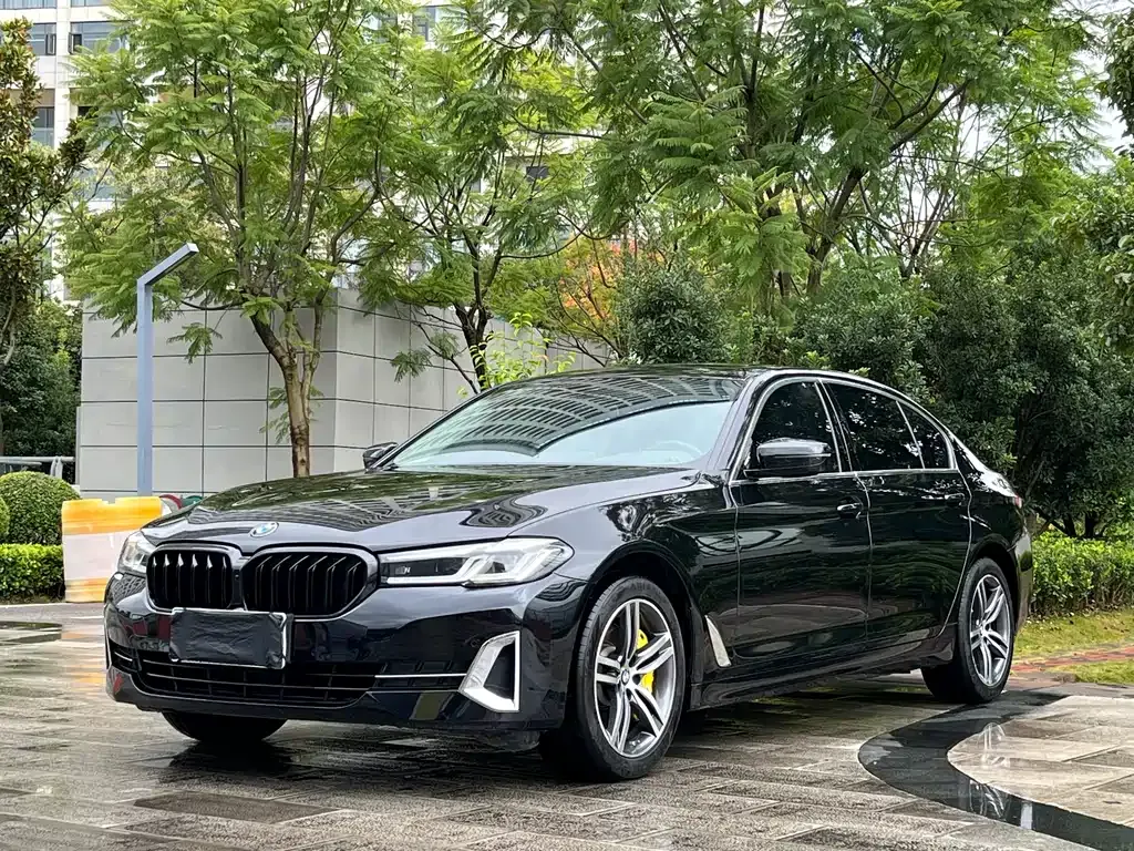 BMW 5 Series 2022 из CN, фото 1